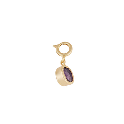 Amethyst Power Charm